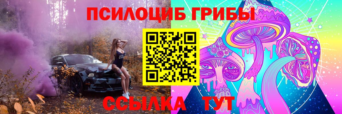 Галлюциногенные грибы прущие грибы Губкин